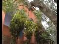 Adwaita Pat / Advaita Pat in Santipur