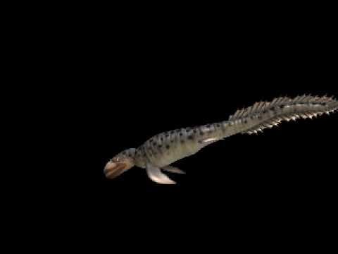 mosasaurus