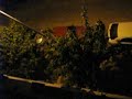 fileparkeren in blanes