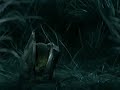 Master Chief  se suicida