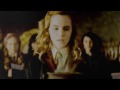 Draco/Hermione: I'm Not Perfect