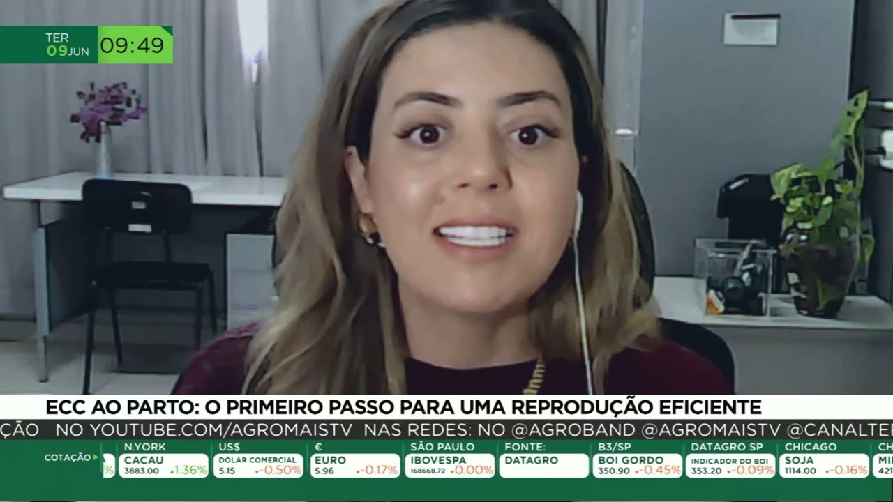 Condição corporal ao parto influencia fertilidade e produtividade dos rebanhos