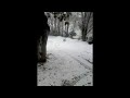 Bibi en quad raptor sous la neige à Montgiscard (Toulouse).m4v