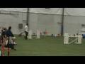 videos de Splash & Dash 4 5 09 Lola Starters Jumpers