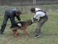 Nex Hartis Bohemia - video 14 M