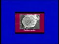 Carpet Cleaning Video