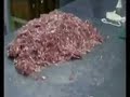La salsiccia di puro suino dell\ La salsiccia di puro suino dell\