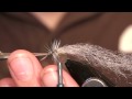 Magnus: 5- fluebinding: Døgnfluenymfe