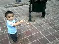 correteando + palomos
