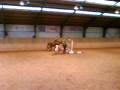 videos de Sarah og Rolfe.MP4