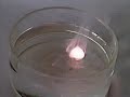 Potassium and Water.avi Potassium and Water.avi