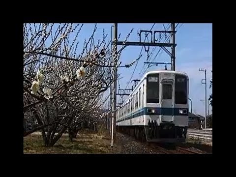 東武越生線と梅林