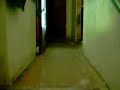 sivoo
