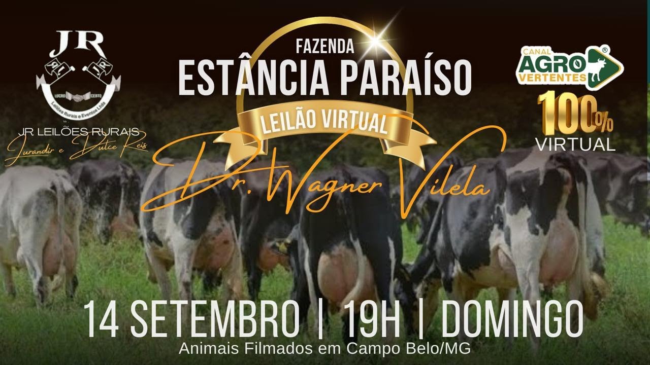 1º LEILÃO VIRTUAL FAZENDA ESTÂNCIA PARAÍSO - DRº WAGNER VILELA - 14/09/2025