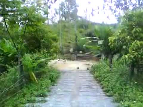 2009/05/17 嘉義縣中埔鄉豐山生態園區 Feng-shan,Chiayi County,Taiwan