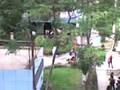 videos de Pobre Gatito