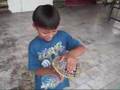 Releasing Birds For Good Luck in Penang, Malaysia