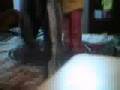  - MovieZen Video