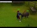 Money Making (cow hides)