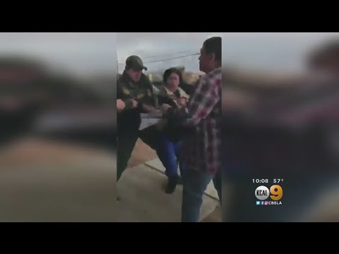 Woman Arrested In Emotional Viral Video Is Part Of Criminal Smuggling