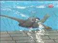 Tania Cagnotto 301 B 10 meters