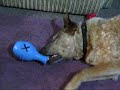 Charlie Daniels - Opening Present from Jackson - 8 July 2008