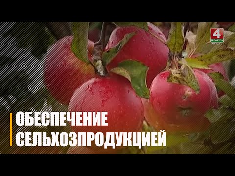 Гомельшчына гатова забяспечыць насельніцтва сельгаспрадукцыяй у міжсезонны перыяд видео
