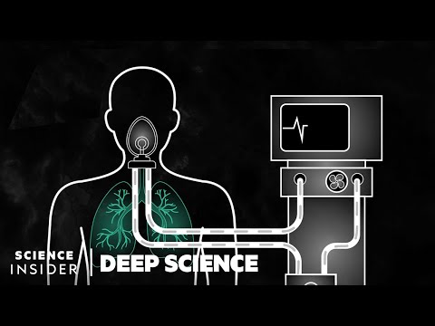 What Coronavirus Recovery Looks Like, Day By Day