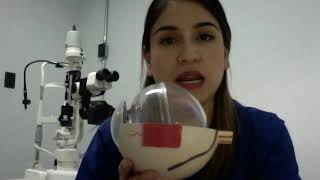 Paulina Ramirez Neria-9