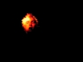 Ver Video