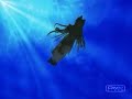 du riech so gut final fantasy 7 tribute