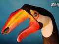 PUNKtv - Arts of Hand