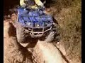 quad novales