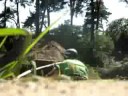 Ein geiler Tag