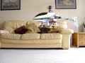 T-Rex 450X with Logictech 2100 gyro. Inside hover test.