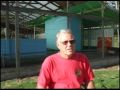 The Old Hegg Turtle Sanctuary