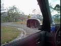 Bird Attacks Car Mirror