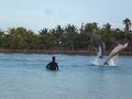 Bahamas 337 Bahamas 337
