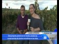 Reportaje Bodegas Solterra de la Ribera del Duero en Buenos Días Madrid - TELEMADRID