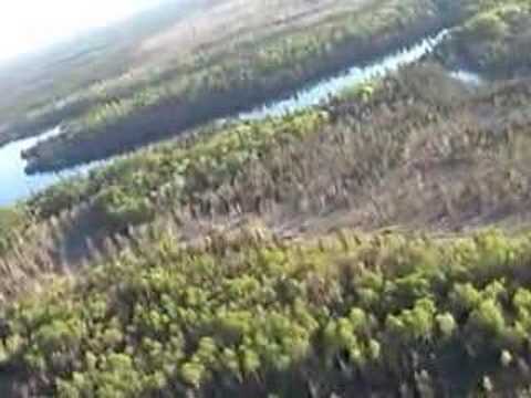 Flying in the boreal forest