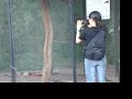 Hermosillo zoo