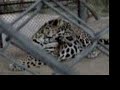 Hermosillo zoo