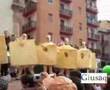 parmigiano