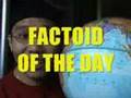 Summer / Bike Rides