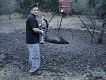 hog hunting 2