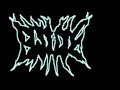 Brutal Death Compilation 2