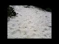 MOV005.3gp