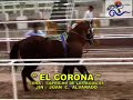 La Chocolata contra El Corona.mp4