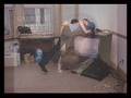 The Hombres - Let It Out (Let It All Hang Out)