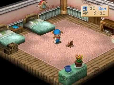 how to get fp in harvest moon